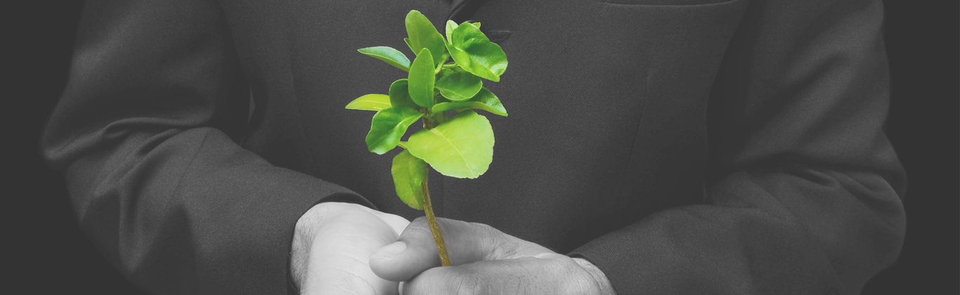 going green eventos