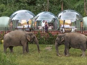 Anantara Golden Triangle Elephant Camp & Resort  NH Pro